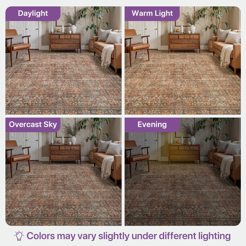 Abastos - Vintage Machine Washable Area Rug for High-Traffic Homes